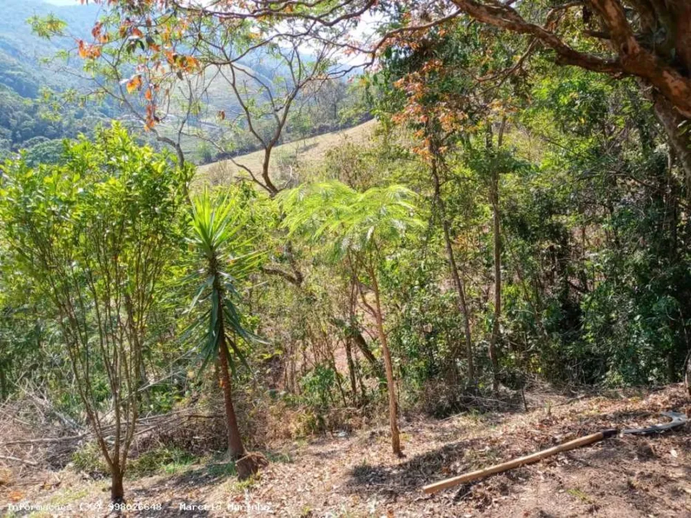 Terreno, 2 hectares - Foto 4
