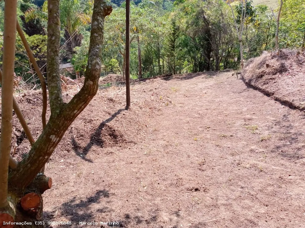 Terreno, 2 hectares - Foto 7