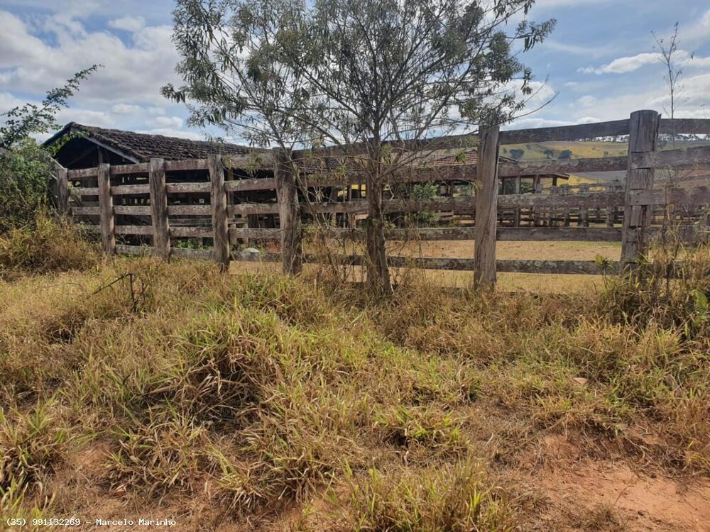 Fazenda, 368 hectares - Foto 2