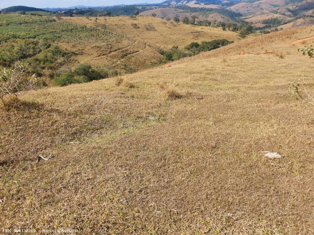 Fazenda, 368 hectares - Foto 1