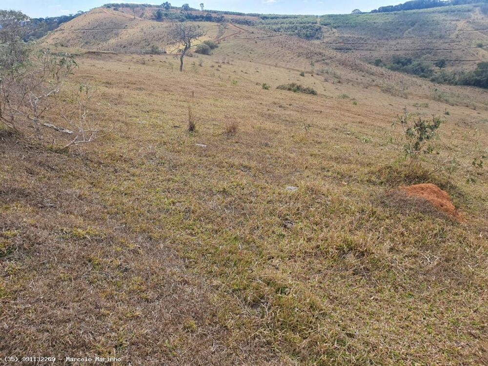 Fazenda, 368 hectares - Foto 3