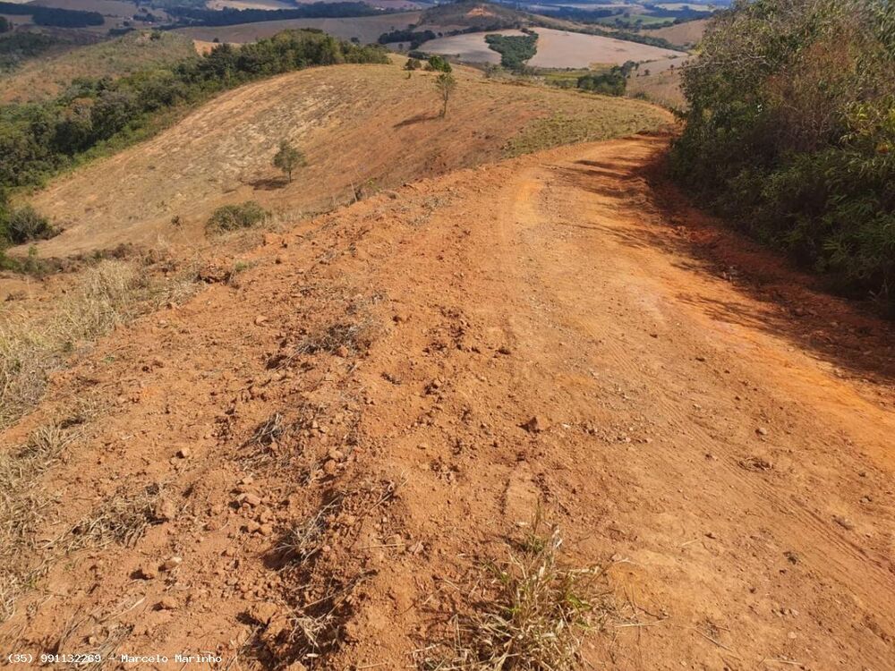 Fazenda, 368 hectares - Foto 4