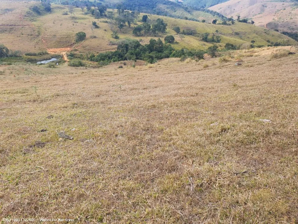 Fazenda, 368 hectares - Foto 6
