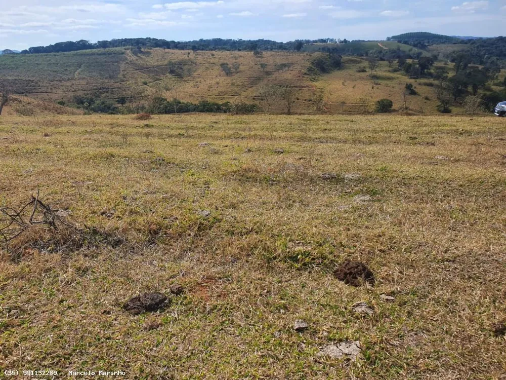Fazenda, 368 hectares - Foto 7