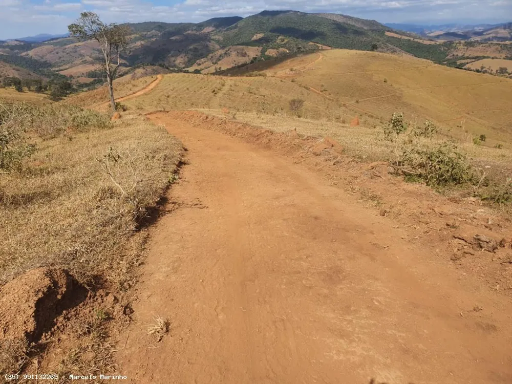 Fazenda, 368 hectares - Foto 12