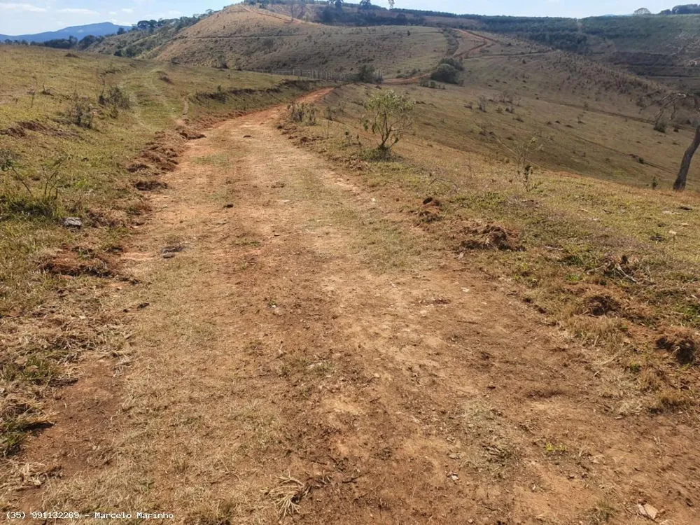 Fazenda, 368 hectares - Foto 10