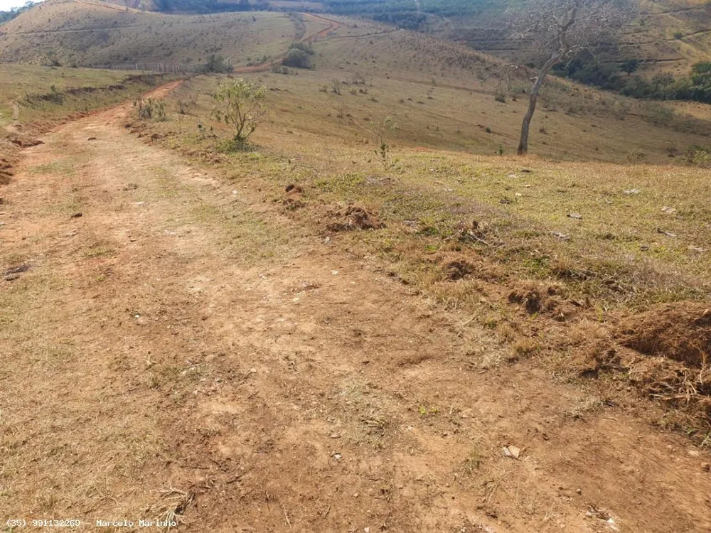 Fazenda, 368 hectares - Foto 9