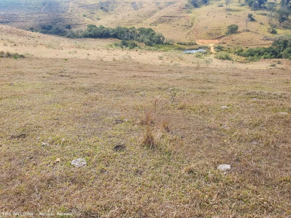 Fazenda, 368 hectares - Foto 8
