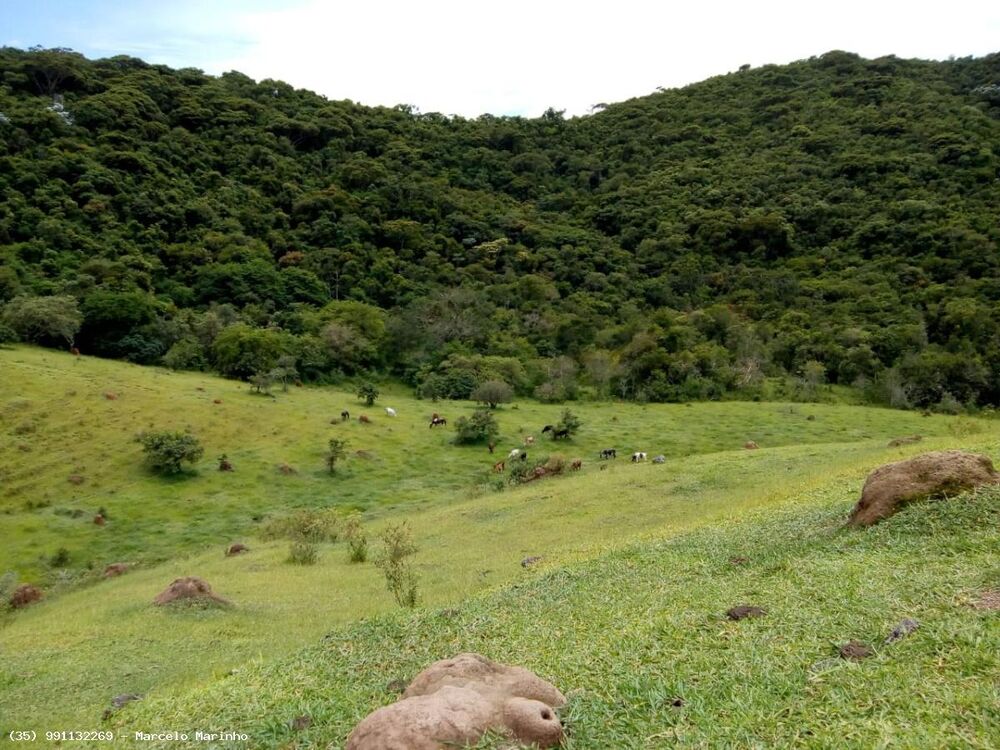 Fazenda, 165 hectares - Foto 1