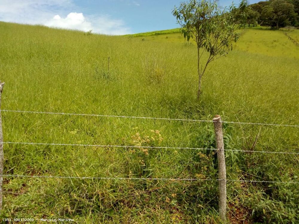 Fazenda, 165 hectares - Foto 8