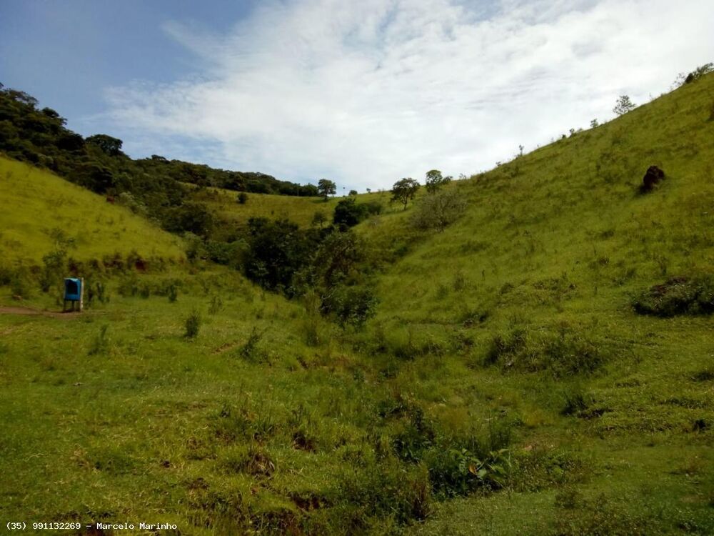 Fazenda, 165 hectares - Foto 5