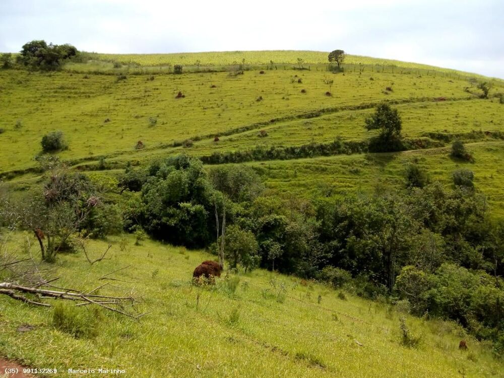 Fazenda, 165 hectares - Foto 6