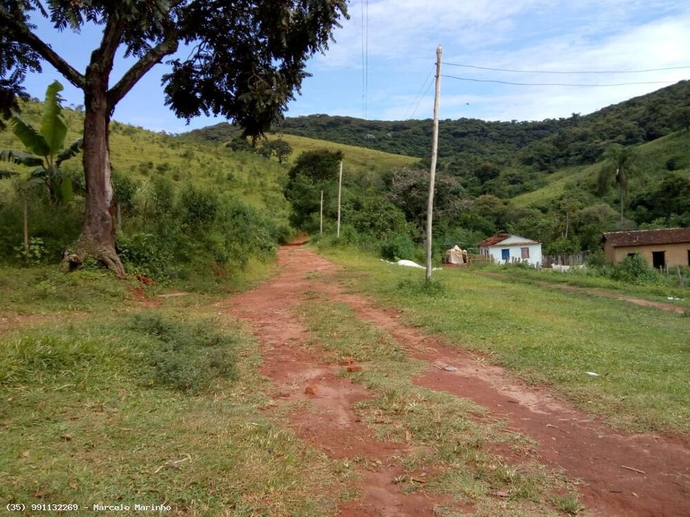 Fazenda, 165 hectares - Foto 2