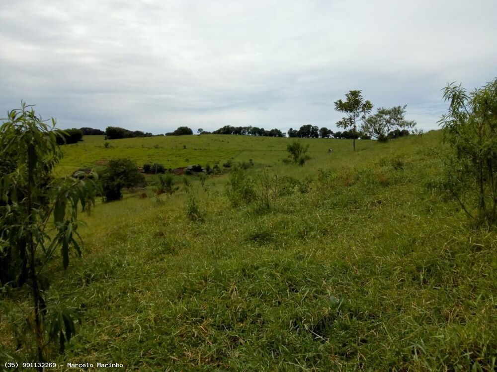 Fazenda, 165 hectares - Foto 3