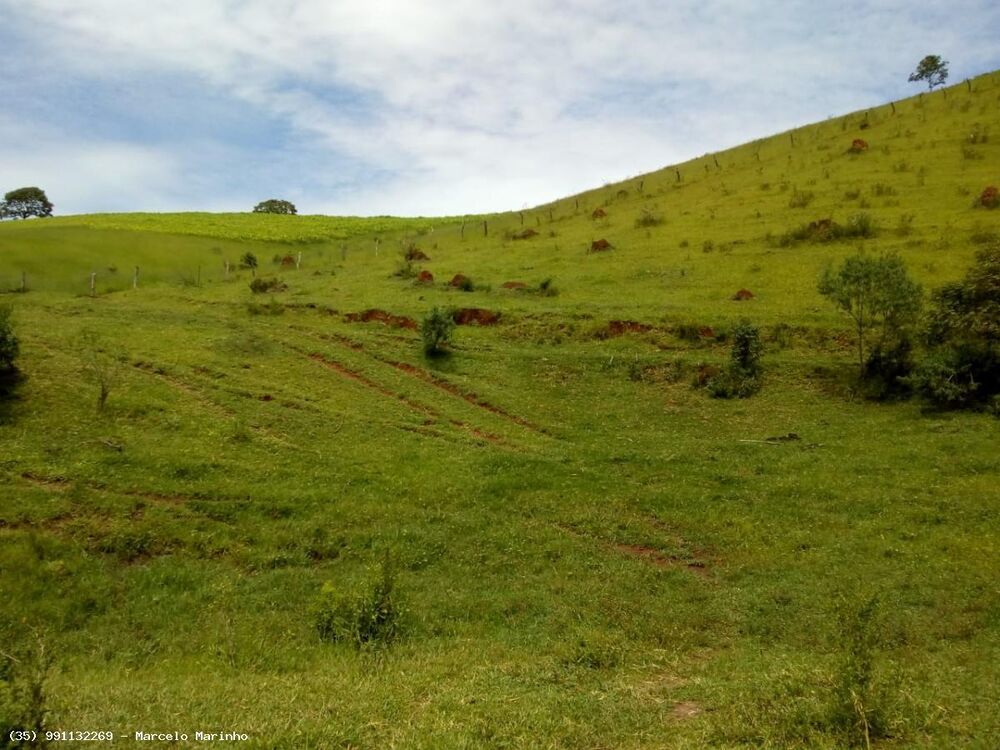 Fazenda, 165 hectares - Foto 7