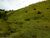 Fazenda-Sítio-Chácara, 165 hectares - Foto 4
