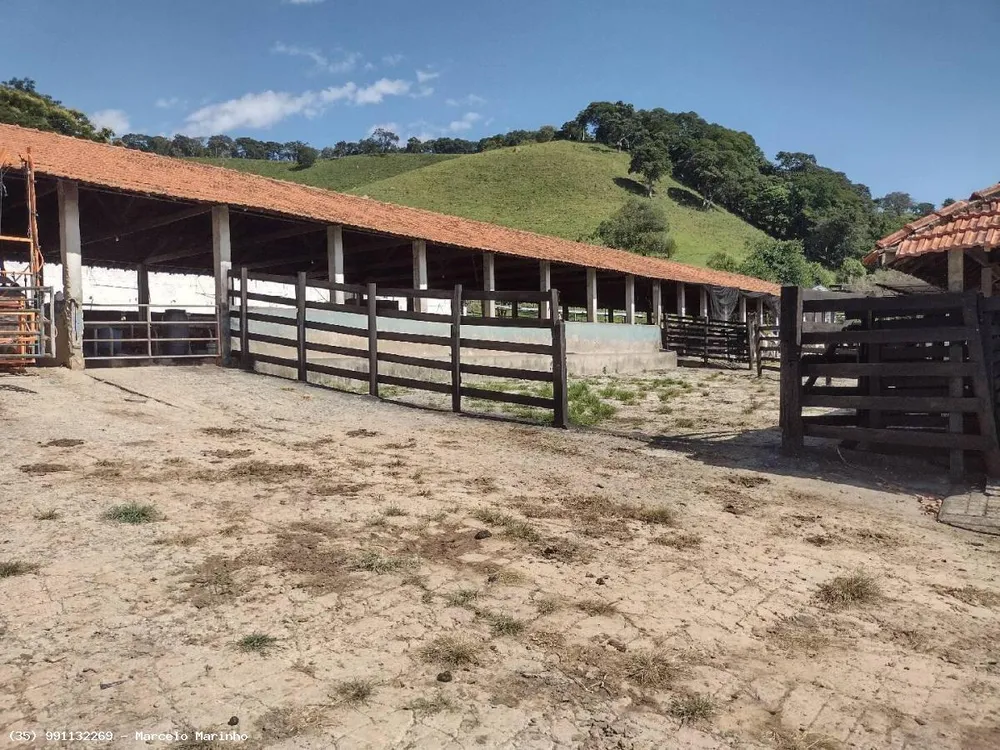 Fazenda, 150 hectares - Foto 3