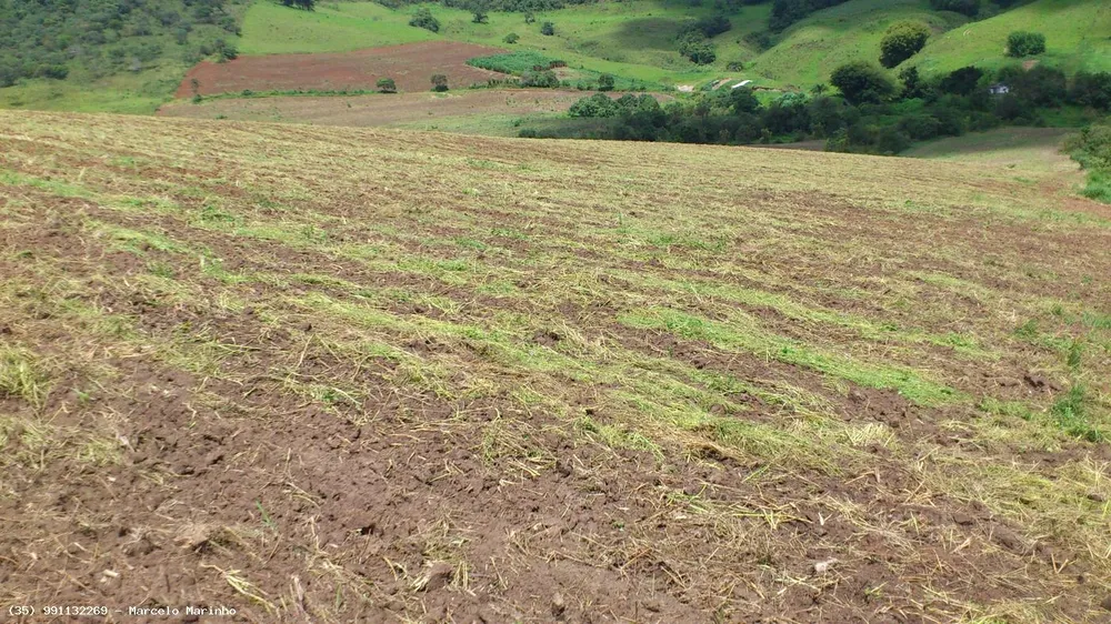 Fazenda, 150 hectares - Foto 8