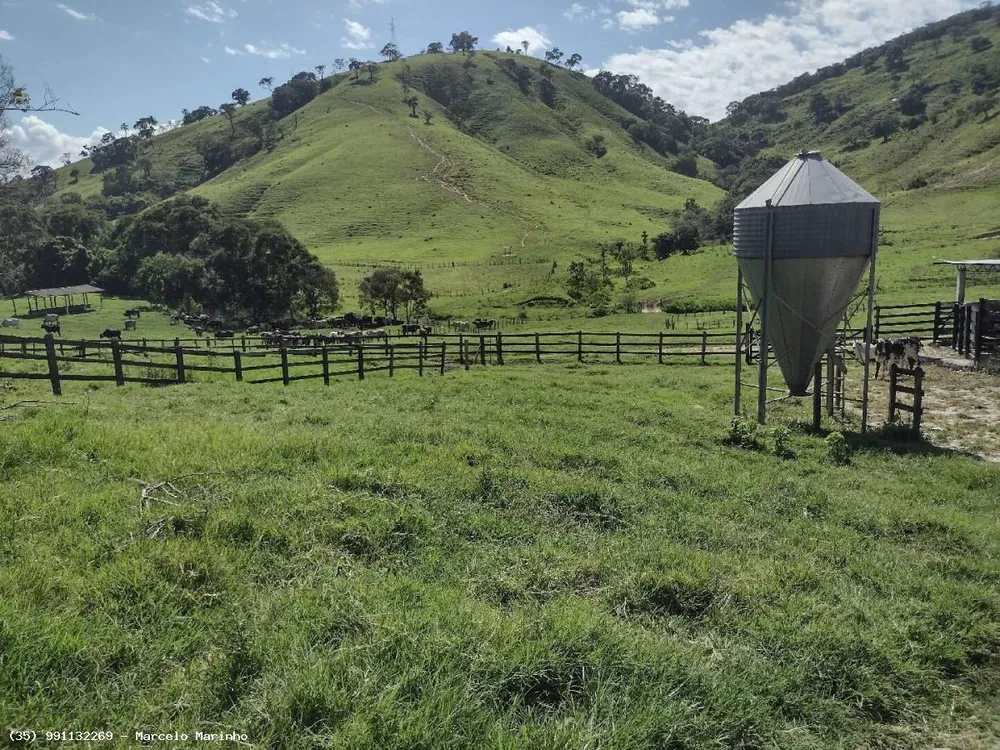 Fazenda, 150 hectares - Foto 4