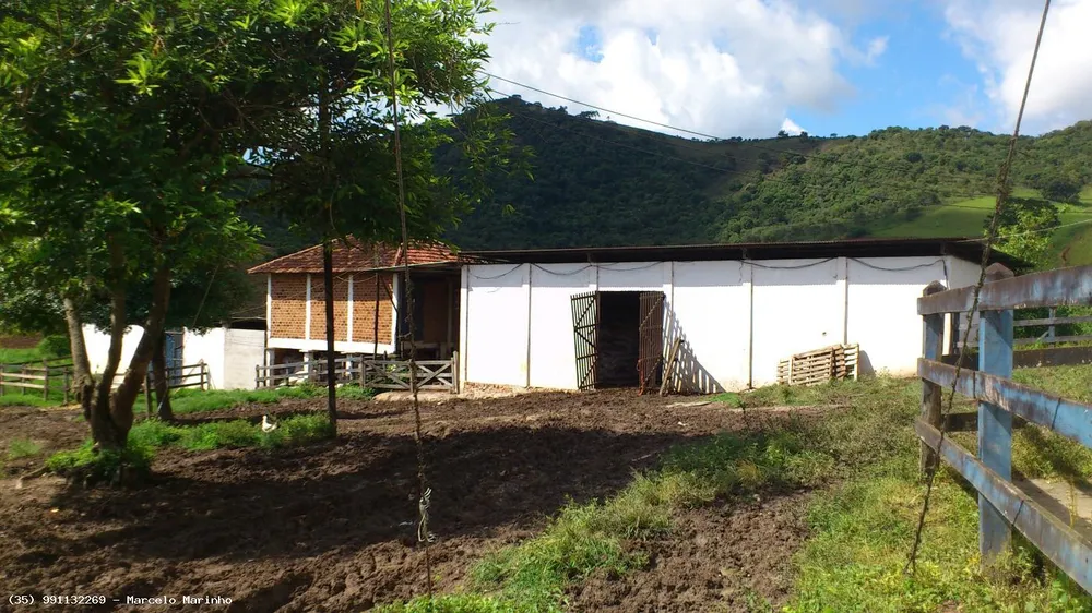 Fazenda, 150 hectares - Foto 6
