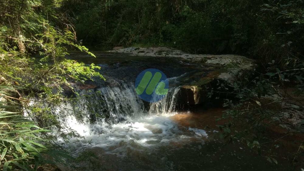 Sítio, 6 quartos, 2 hectares - Foto 12