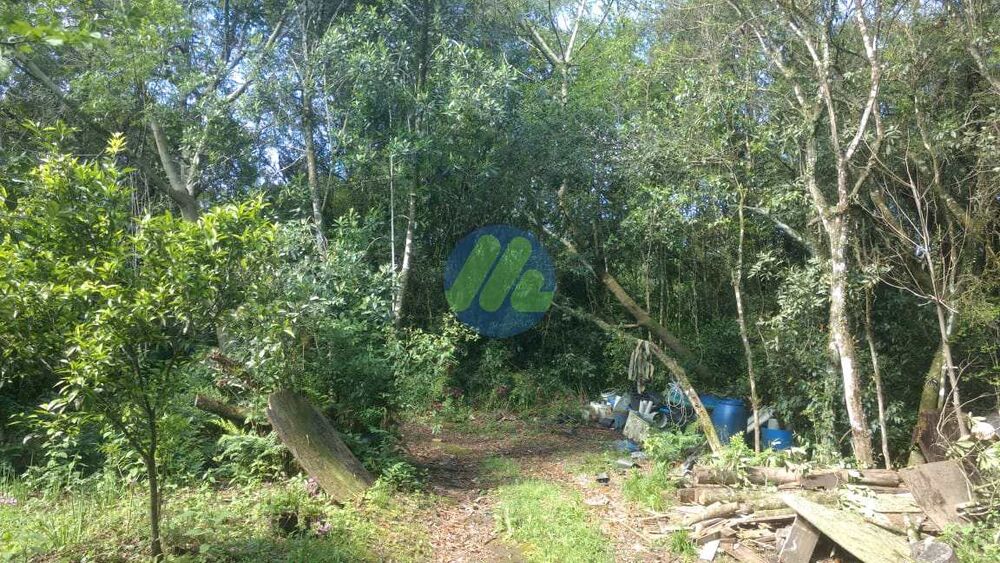 Sítio, 6 quartos, 2 hectares - Foto 2