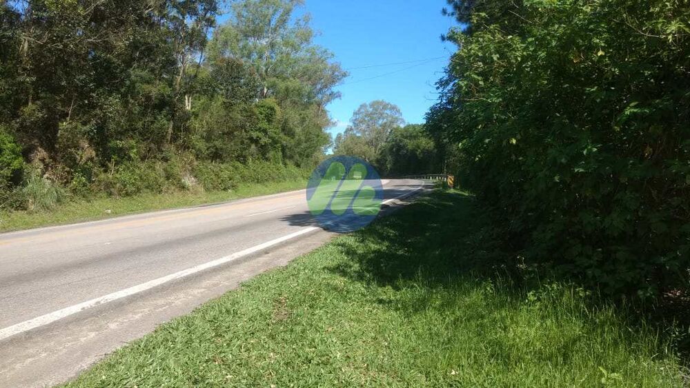 Sítio, 6 quartos, 2 hectares - Foto 8