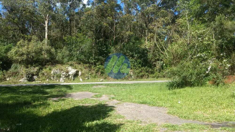 Sítio, 6 quartos, 2 hectares - Foto 9