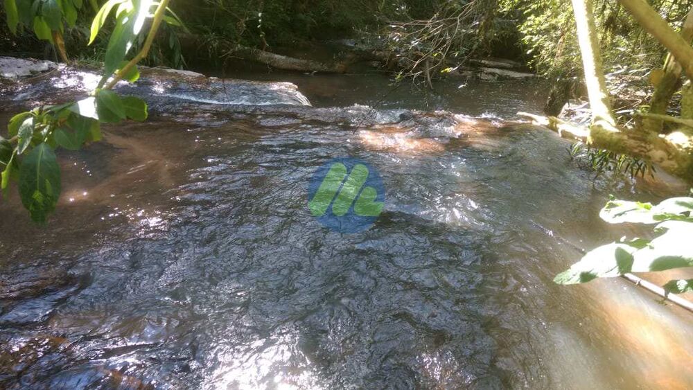 Sítio, 6 quartos, 2 hectares - Foto 10