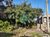 Terreno, 720 m² - Foto 2