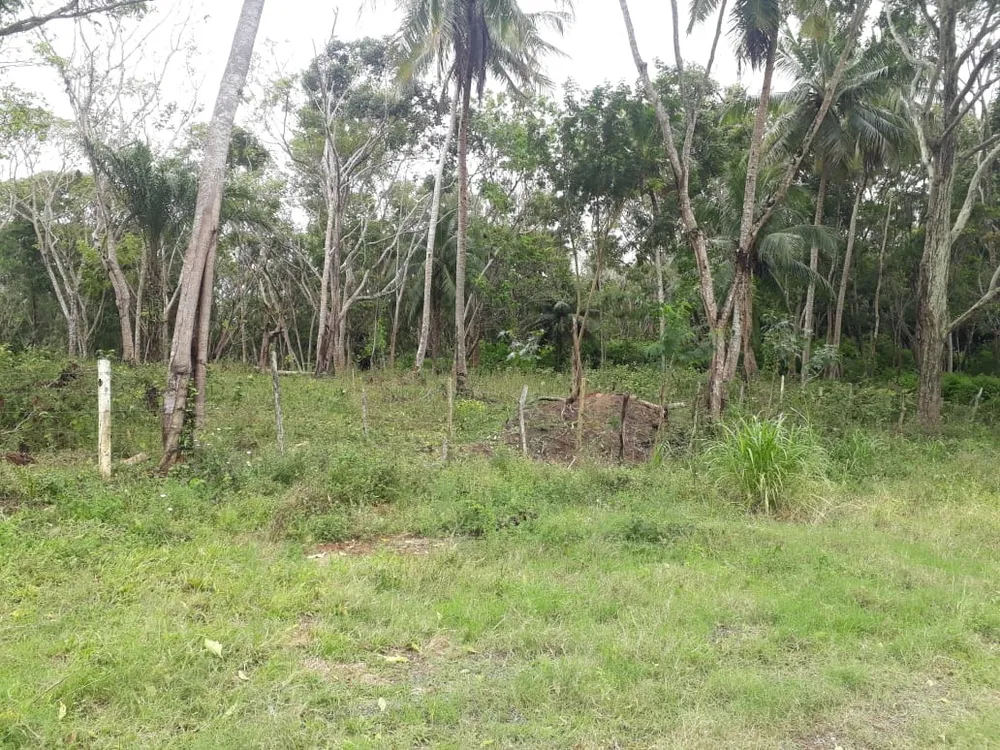 Terreno, 2 hectares - Foto 7