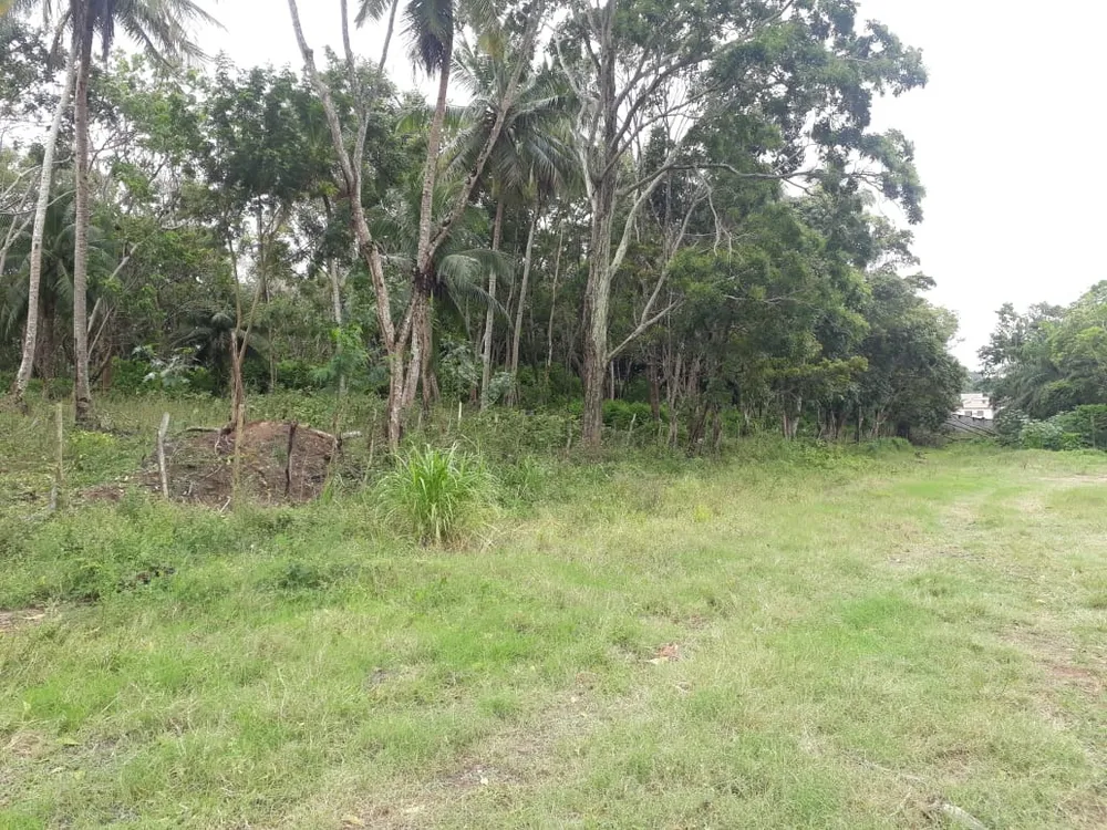 Terreno, 2 hectares - Foto 4