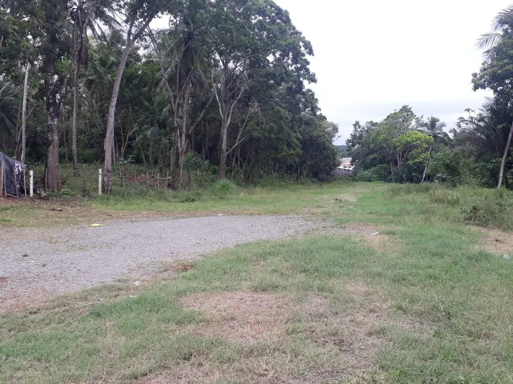 Terreno, 2 hectares - Foto 3