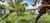 Terreno, 2436 m² - Foto 4