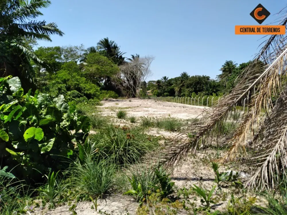 Loteamento e Condomínio, 2 hectares - Foto 12