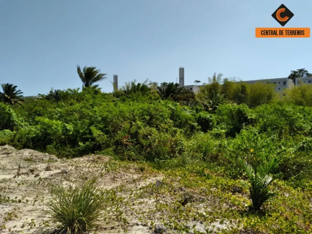 Loteamento e Condomínio, 2 hectares - Foto 4