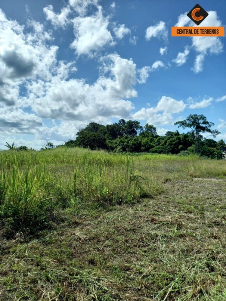 Loteamento e Condomínio, 1 hectares - Foto 3