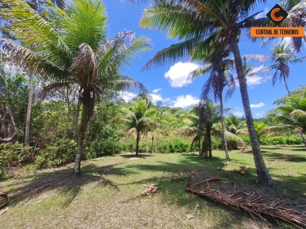 Chácara, 2 quartos - Foto 3