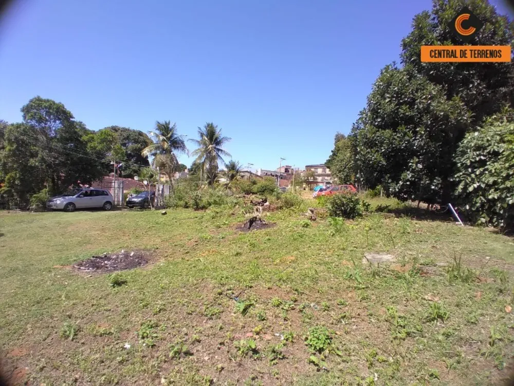 Terreno, 3 hectares - Foto 12