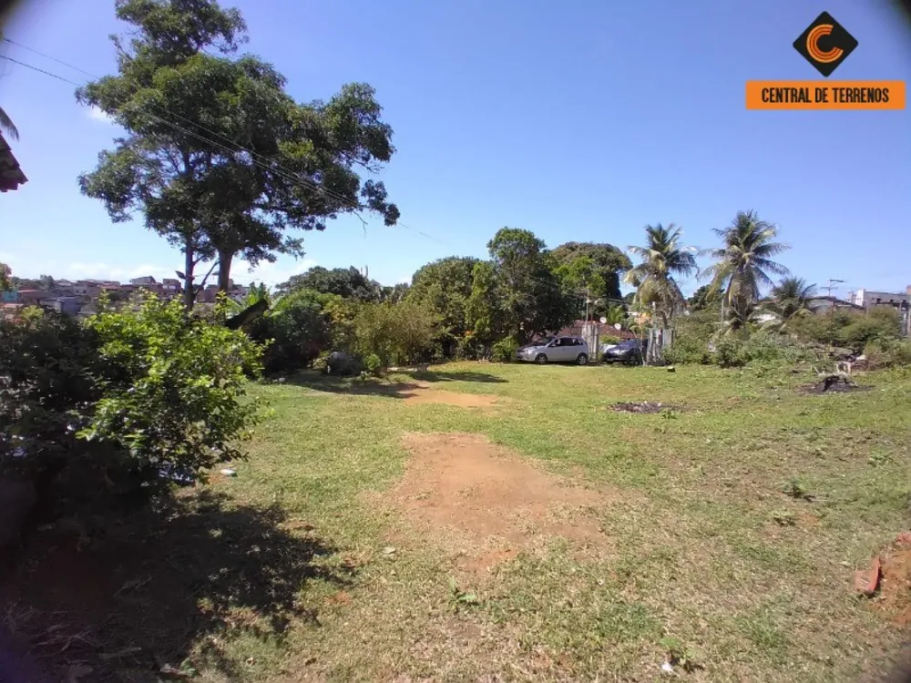 Terreno, 3 hectares - Foto 11