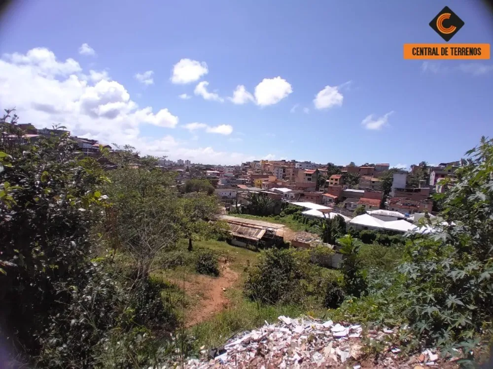Terreno, 3 hectares - Foto 10