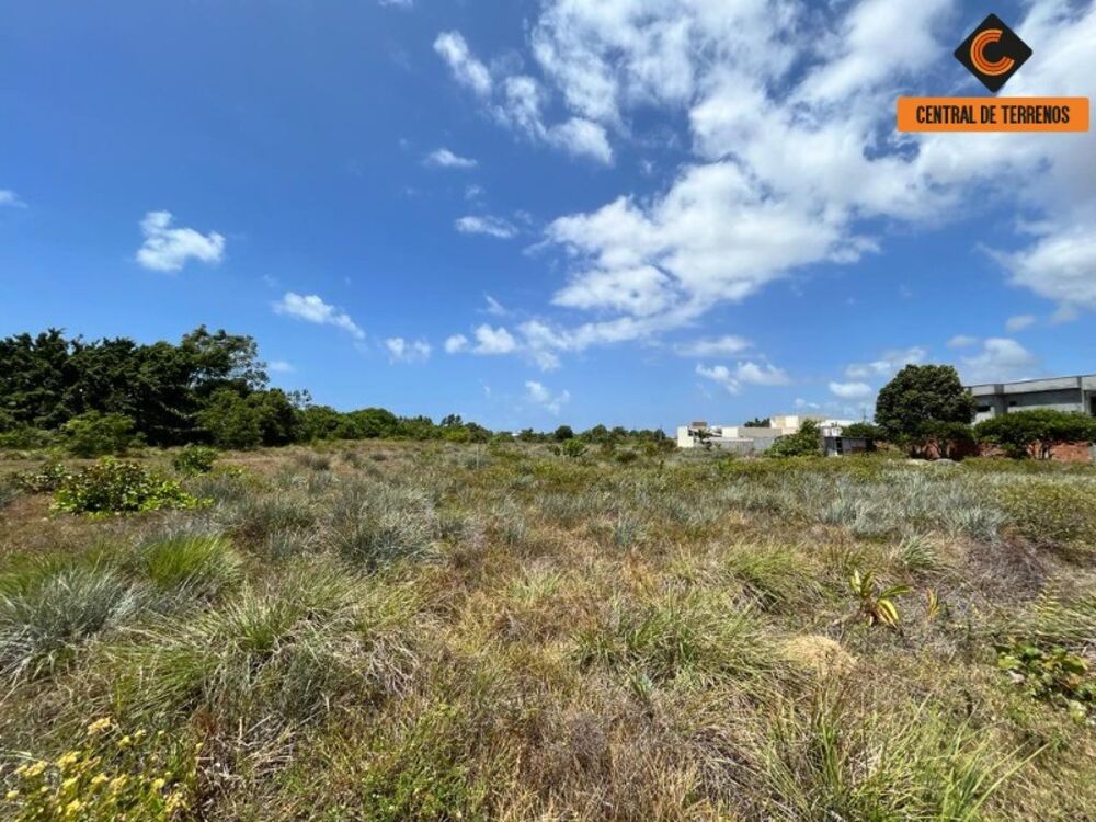 Terreno, 784 m² - Foto 3