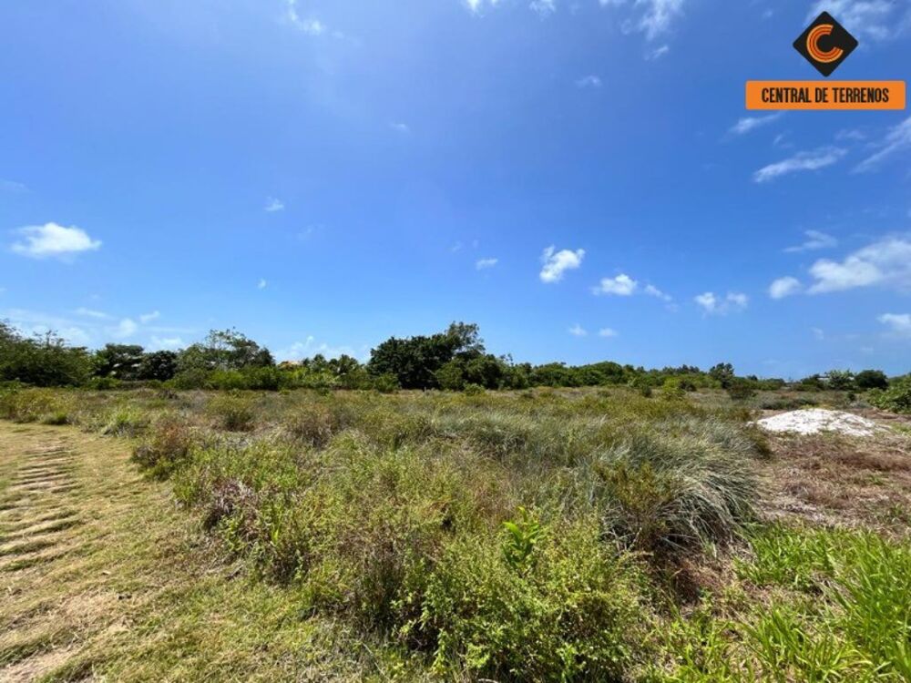 Terreno, 784 m² - Foto 4