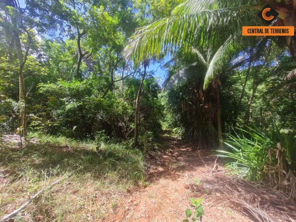 Loteamento e Condomínio, 5 hectares - Foto 3