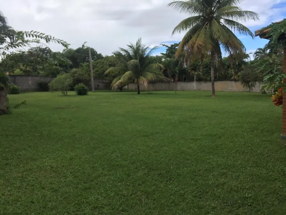 Terreno, 8000 m² - Foto 3