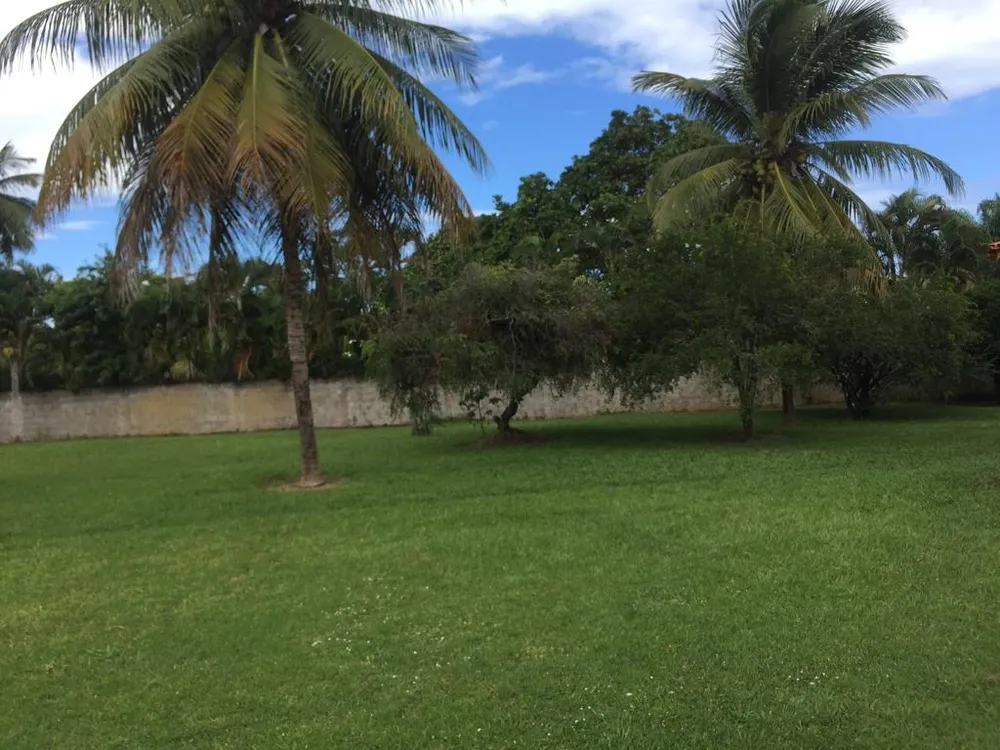 Terreno, 8000 m² - Foto 2