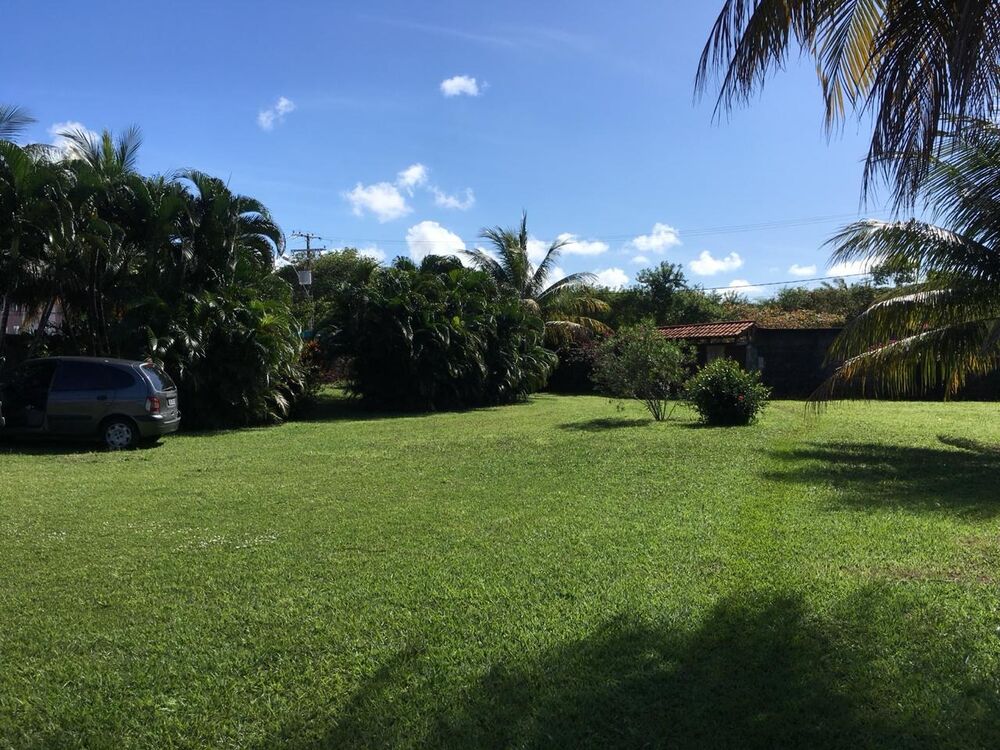 Terreno, 8000 m² - Foto 3