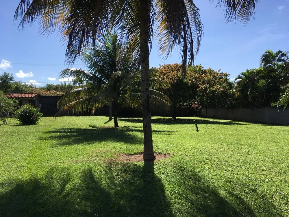 Terreno, 8000 m² - Foto 1