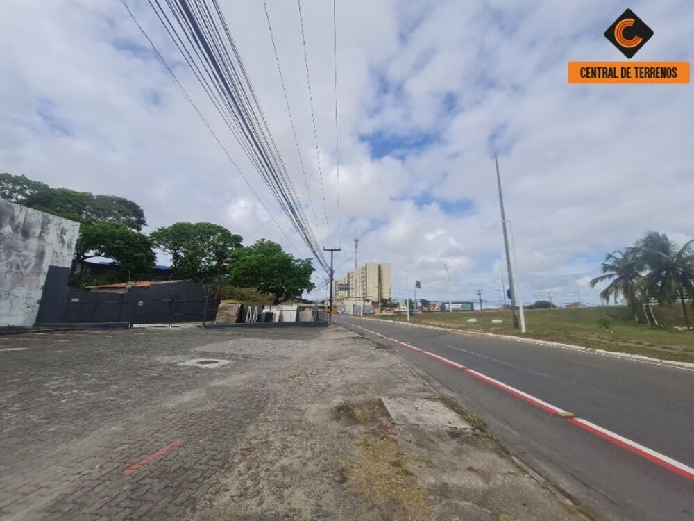 Terreno, 3 hectares - Foto 6