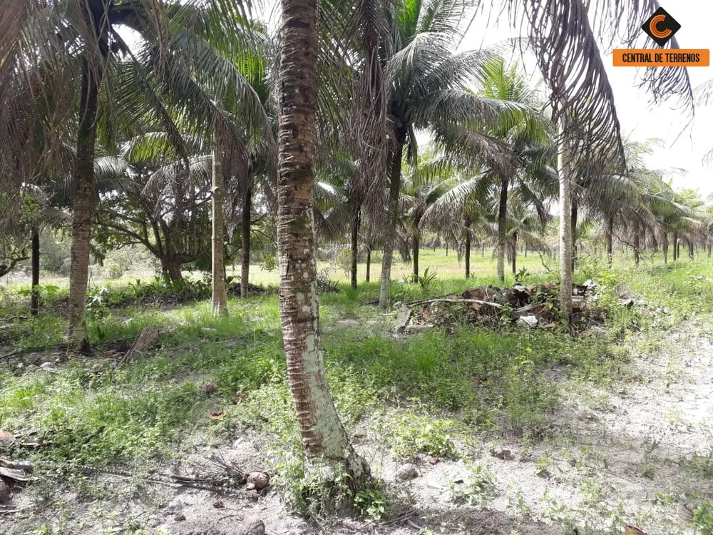 Terreno, 5 hectares - Foto 14